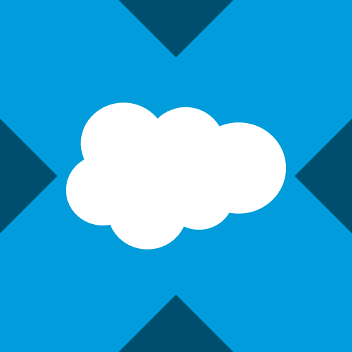 Salesforce xStock Icon