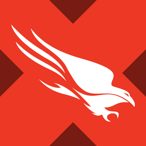 CrowdStrike xStock Icon